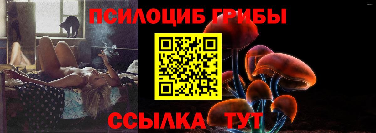 Галлюциногенные грибы Cubensis  как найти закладки  Рассказово  Галлюциногенные грибы прущие грибы  Вход с VPN 